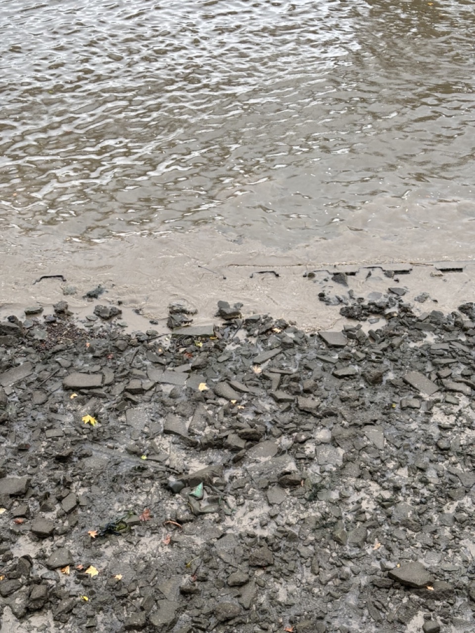 Photograph of stones meeting the Thames